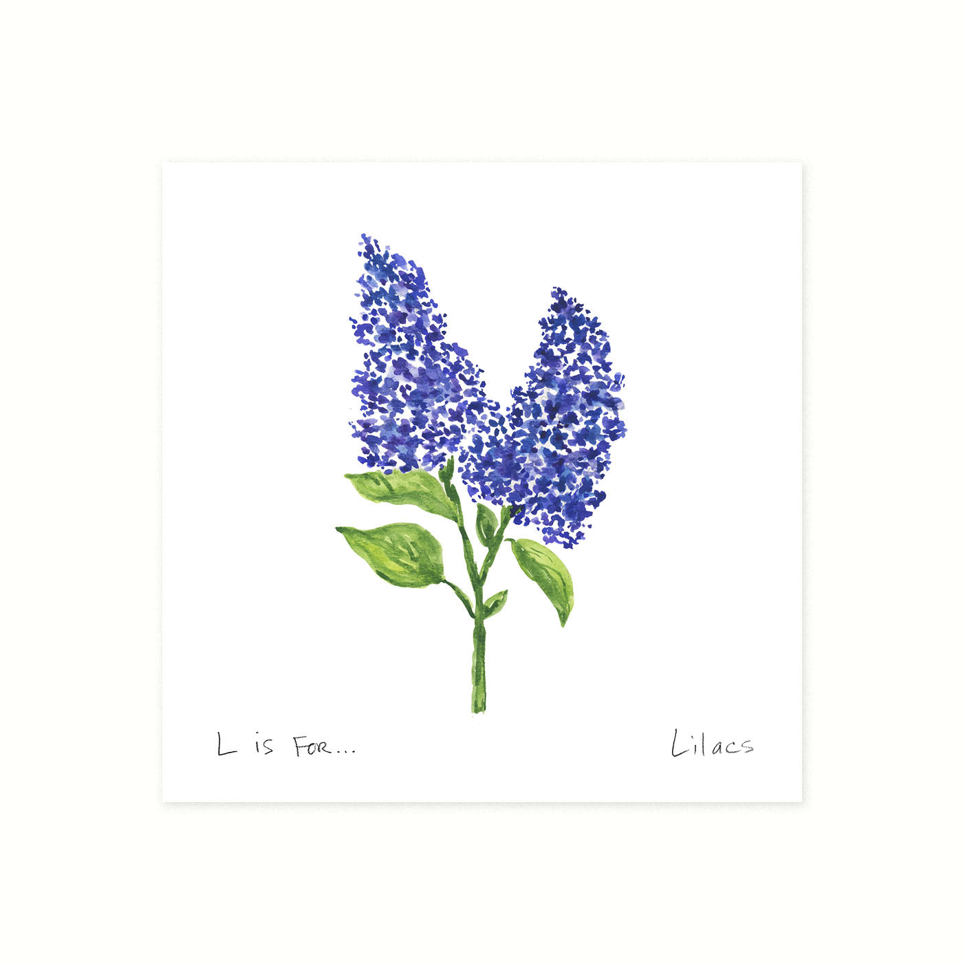 Lilacs Watercolor Art Print | Alphabet Girl – Alphabet Joy