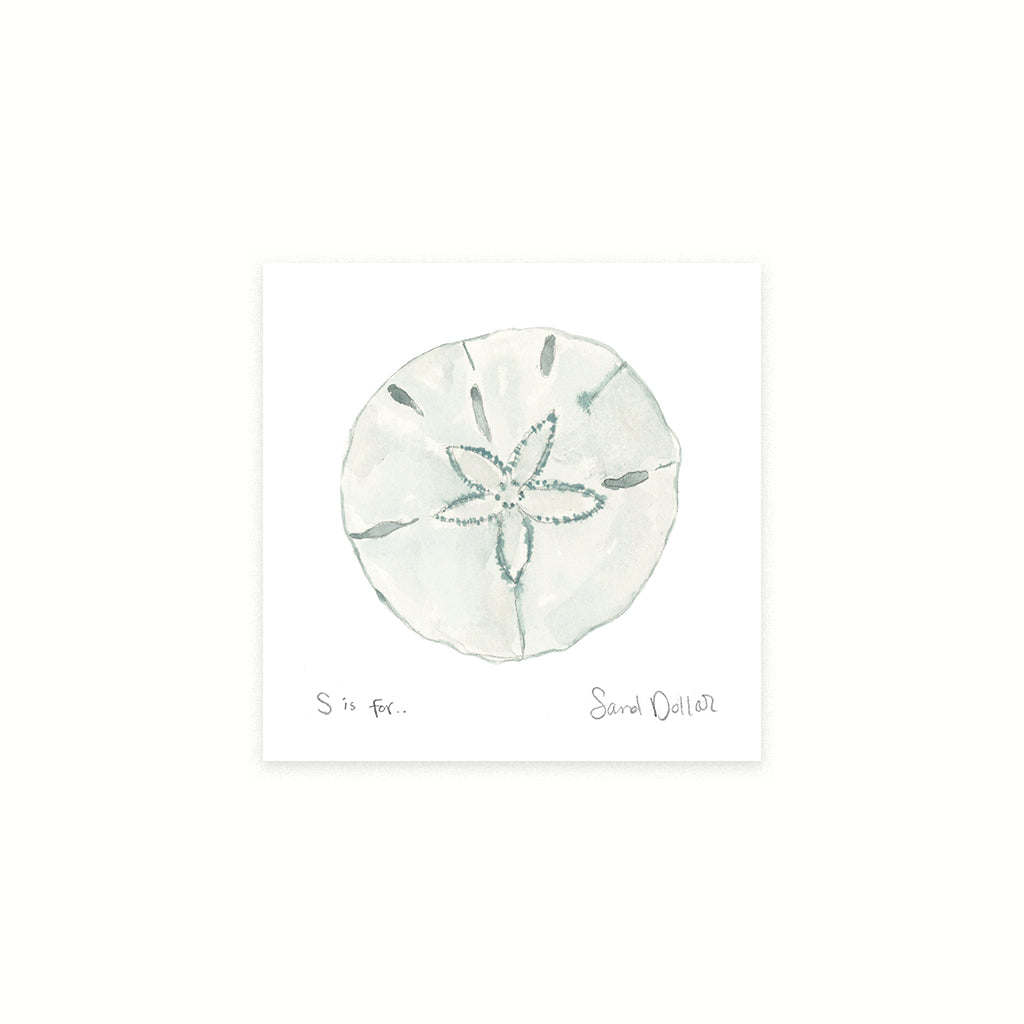 Sand Dollar watercolor beach mino art print. coastal decor, ocean themed wall art, nautical home decoration