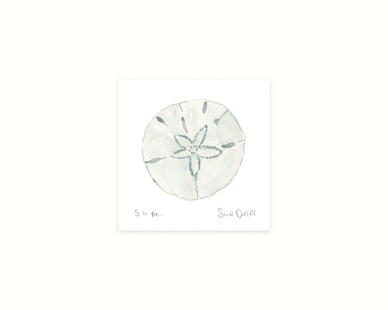 Sand Dollar watercolor beach mino art print. coastal decor, ocean themed wall art, nautical home decoration