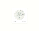 Sand Dollar watercolor beach mino art print. coastal decor, ocean themed wall art, nautical home decoration